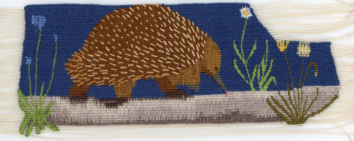 Lady and Bunyip #11 Echidna