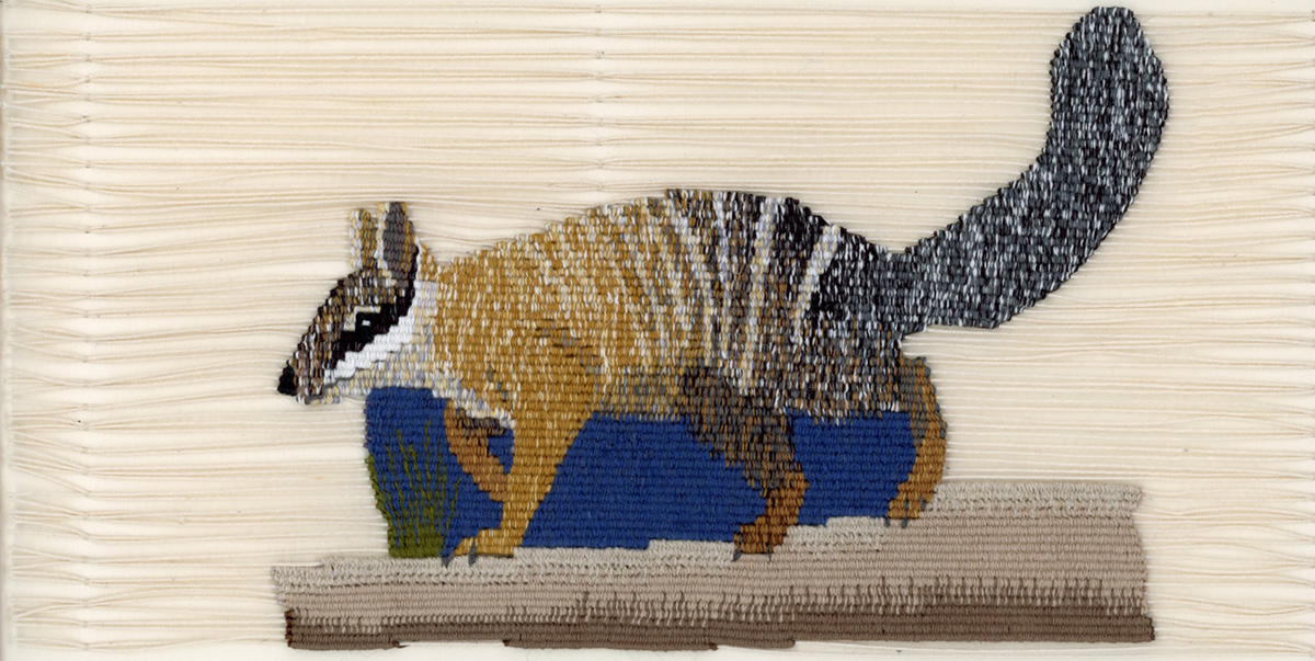 Lady and Bunyip #9 Numbat