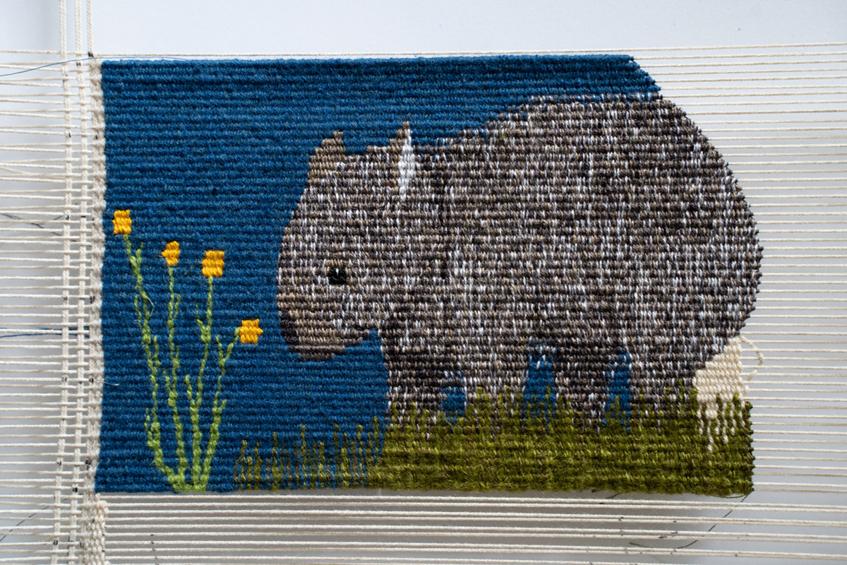 Lady and Bunyip #7 Wombat